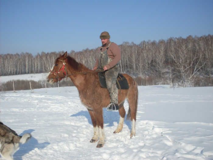 Безопасные стремена для охоты на конях своими руками