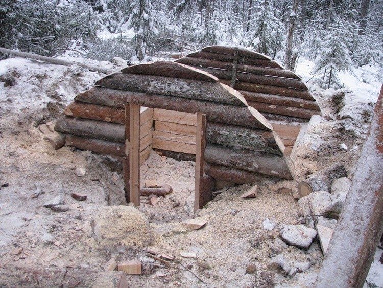 Выживание жилья укрытия в лесу