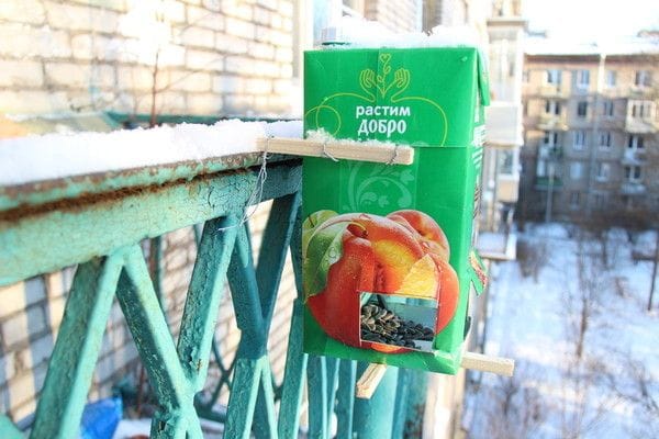 Кормушка для птиц с дозатором