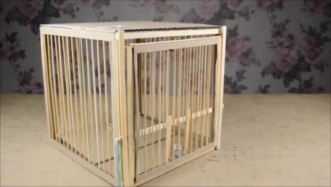Как сделать клетку ловушку