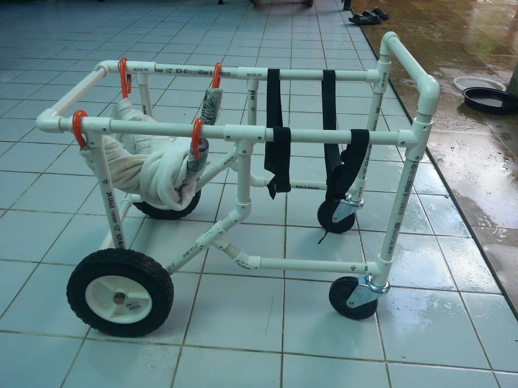 Новосибирец мастерит для собак инвалидные коляски