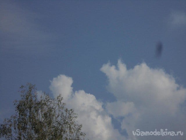 В честь Аллы - модель «Алый»