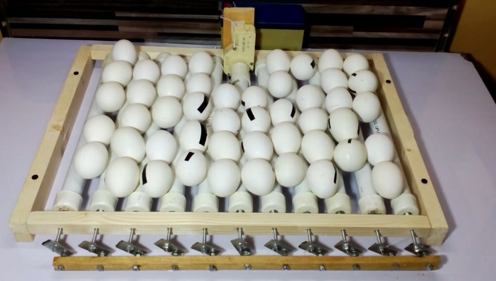 Инкубатор рио блиц матрица. Икубатор. Икубатор. Инкубатор на 300 яиц с автоматическим переворотом. Инкубатор hhd 12.