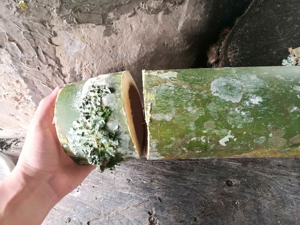 Подвесной цветочный горшок