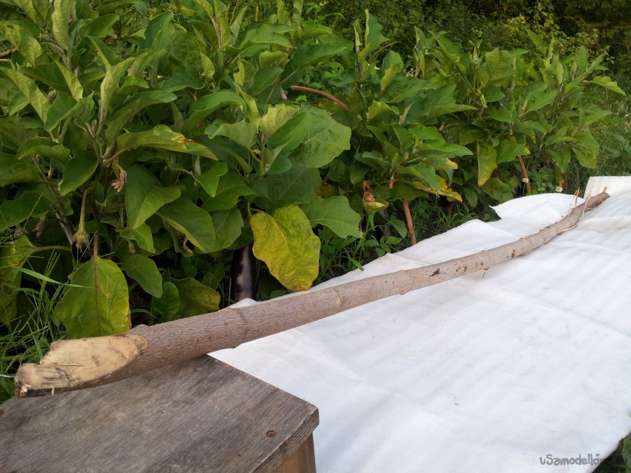 Самодельные деревянные грабли для сена | Самодельные инструменты, Грабли, Сено