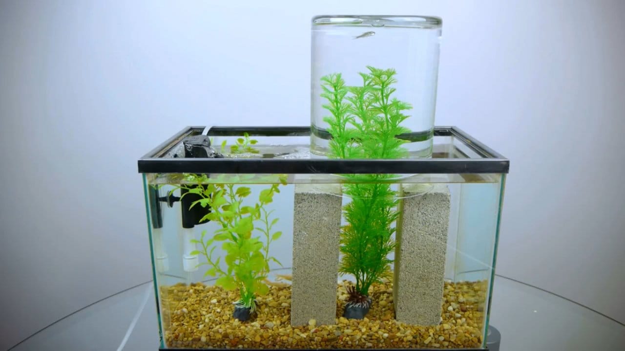 Как сделать аквариум из стекла?