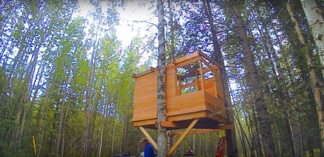 что можно сделать в домике на дереве своими руками. Смотреть фото что можно сделать в домике на дереве своими руками. Смотреть картинку что можно сделать в домике на дереве своими руками. Картинка про что можно сделать в домике на дереве своими руками. Фото что можно сделать в домике на дереве своими руками