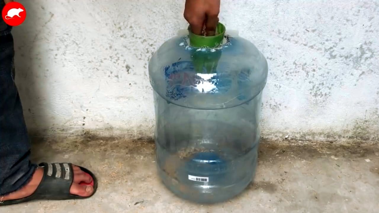 Мышеловки из пластиковых бутылок